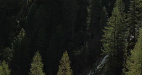 Mountain forest waterfall 库存影片 90621063