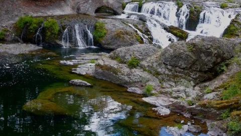 Mountain forest wild river landscape in Washington State, USA. Forest wild river Stock Footage 112754243