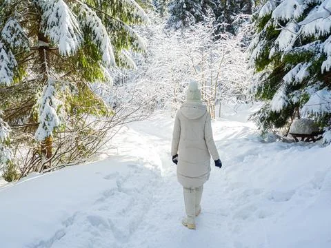 Mountain forest in winter Foto stock