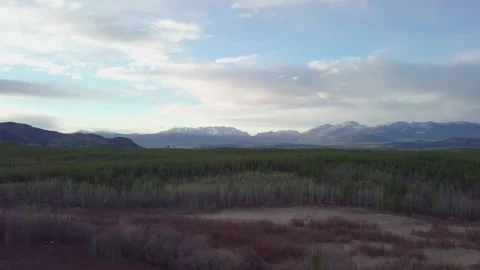 Mountain forest in the Yukon Vídeos de archivo 200468617