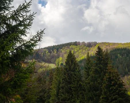 Mountain forests Stock Photos