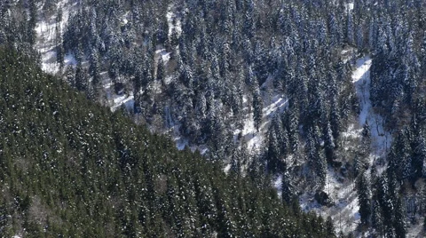 Mountain Forrest Layers Stock Footage 60673839