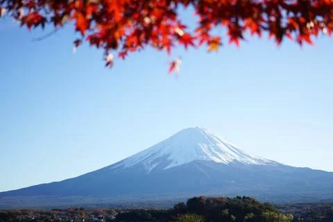 Mountain Fuji with maple tree Stock Photos