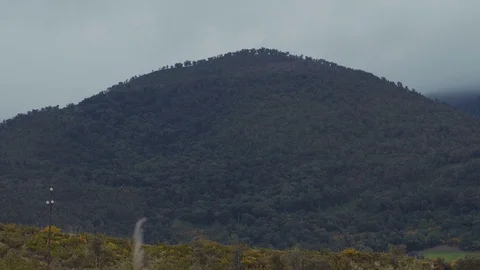A mountain full of trees Stock Footage 88711507