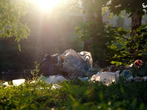 Mountain garbage in the forest. The concept of environmental pollution, the e Stock Photos