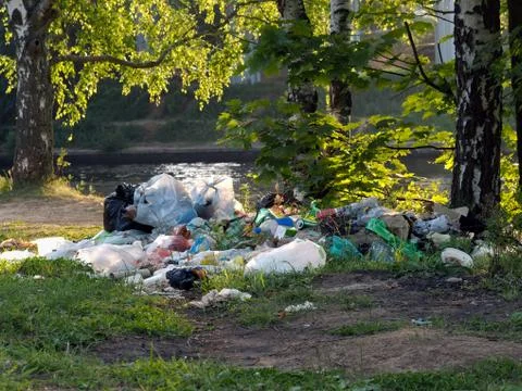 Mountain garbage in the forest. The concept of environmental pollution, the e Stock Photos