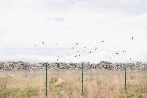 Mountain garbage, large garbage pile, degraded garbage. Pile of stink and t.. Stock Photos