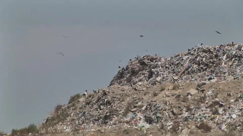 Mountain of garbage waste plastic bottles packages of rotting food Stock Footage 41454513
