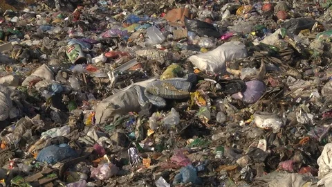 Mountain Of Garbage Waste Plastic Bottles Packages Of Rotting Food Stock Footage 71636865