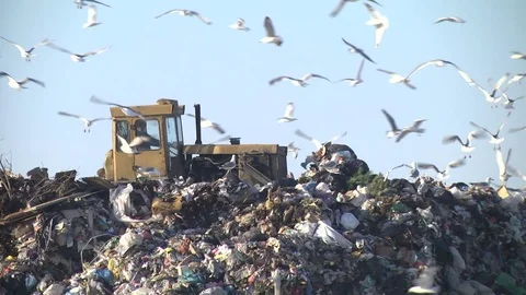 Mountain Of Garbage Waste Plastic Bottles Packages Of Rotting Food Stock Footage