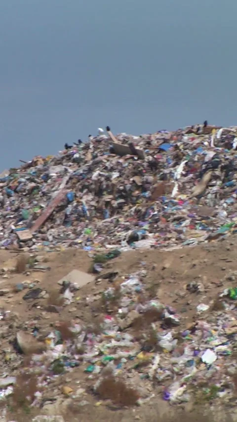 Mountain Of Garbage Waste Plastic Bottles Packages Of Rotting Food 스톡 동영상 249243711
