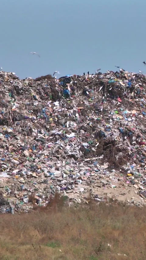 Mountain Of Garbage Waste Plastic Bottles Packages Of Rotting Food Stock Footage 249247528