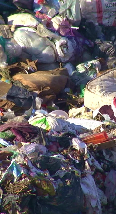 Mountain Of Garbage Waste Plastic Bottles Packages Of Rotting Food Stockbeeldmateriaal 249307581