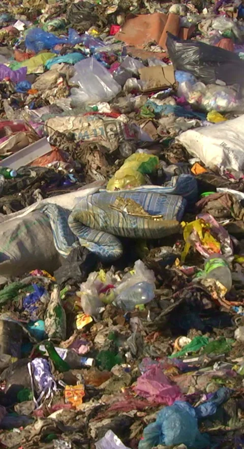 Mountain Of Garbage Waste Plastic Bottles Packages Of Rotting Food Stock Footage 249308625