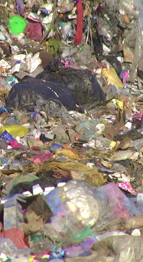 Mountain Of Garbage Waste Plastic Bottles Packages Of Rotting Food Stockbeeldmateriaal 249309705