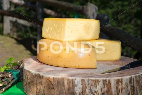 Mountain genuine cheeses Stock Photos