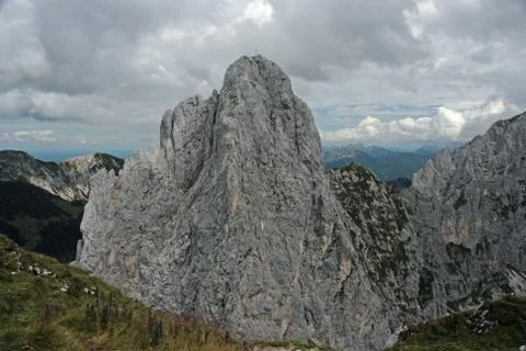 Mountain Gimpel 写真素材