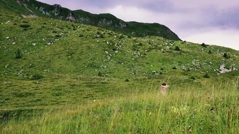 Mountain girl dance Stock Footage 138495250