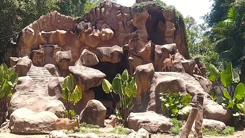 Mountain goat Video stock 213413621