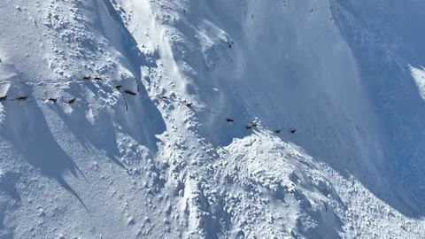 The Mountain Goats 10 Stock Footage 294073738