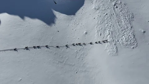 The Mountain Goats 11 Stock Footage 294073746