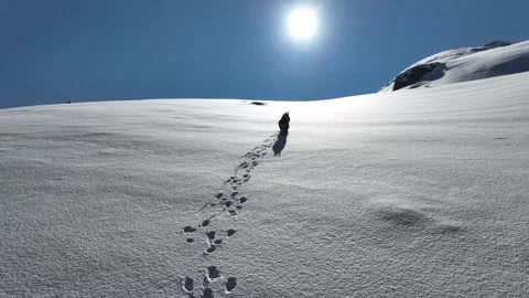 The Mountain Goats 4 Stock Footage 294074957