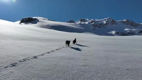 The Mountain Goats 5 Stock Footage 294075001