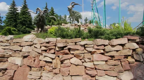 Mountain goats Stock Footage 36846352