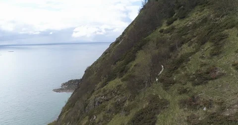 Mountain goats walking up a steep mountain slope Stock Footage 85962309