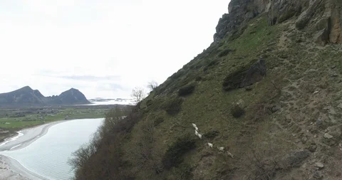 Mountain goats walking up a steep mountain slope Video stock 86178494