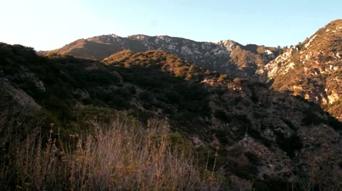 Mountain Golden Hour dolly left over flowers.mp4 Video stock 40387326