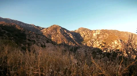 Mountain Golden Hour dolly over plants Video stock 40387330