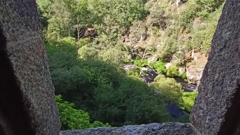 Mountain gorge in the forest from the window of an ancient stone hut Stock Footage 236256625