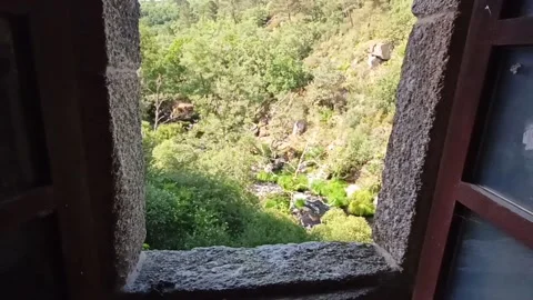 Mountain gorge in the forest from the window of a stone hut Stock Footage 236256574