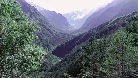 Mountain gorge in the summer Stock Photos