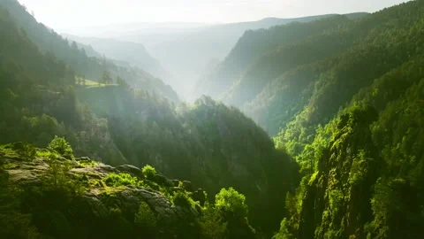 Mountain gorge at sunrise. Green trees and forest. Stock-Footage 232199039