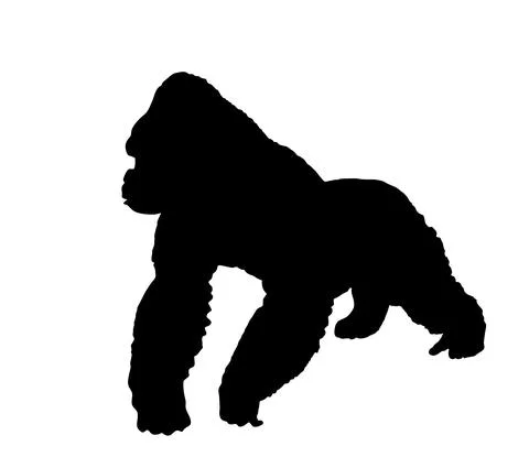 Mountain Gorilla vector silhouette illustration isolated Stock Illustration