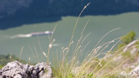 Mountain grass blowing in the wind on a rocky cliffside, with a commercial Stock Footage 344728920