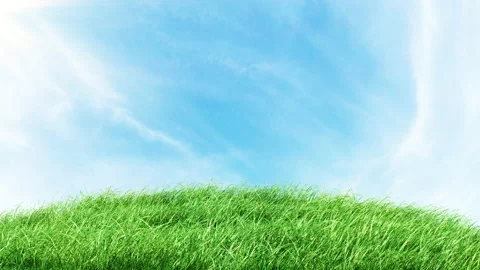 Mountain Grass with Blue Sky Stock Footage 229753020