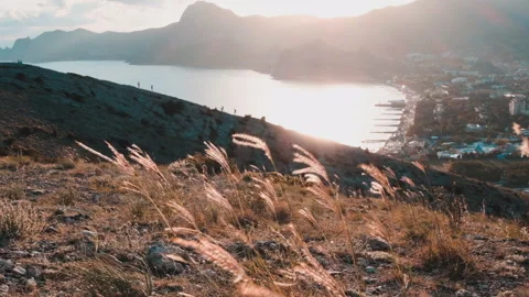Mountain grass develops in the wind Stockbeeldmateriaal 138896631