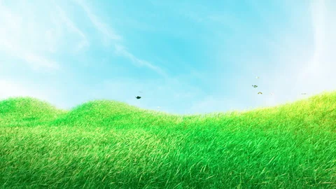 Mountain Grass wind Loop Stock Footage 240361821