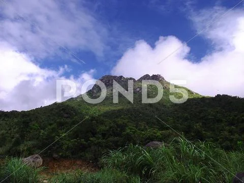 Mountain with great cliff at summer of china Stock Photos