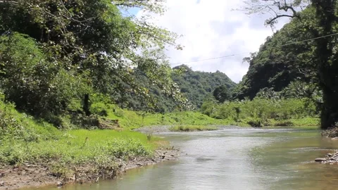 Mountain with a green forest Cool river on summer hour Stock Footage 146260042