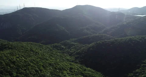 Mountain with green forest landscape Stock Footage 134750062