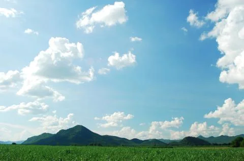 Mountain green grass Stock Photos