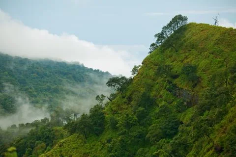 Mountain by green grass Stock Photos