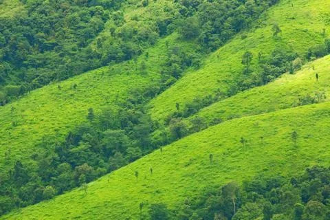 Mountain by green grass Stock Photos