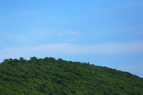 Mountain with green trees. Stock Photos