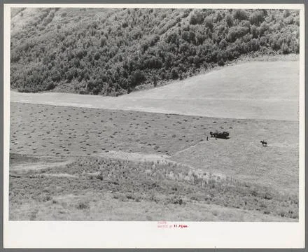 Mountain hay field. Cache County, Utah 1940. still image. Photographs. The... Stock Photos