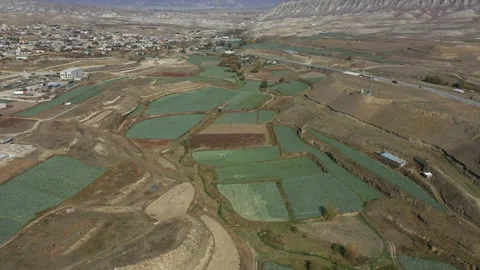 Mountain highland with cabbage fields near small town aerial Stock Footage 130630602